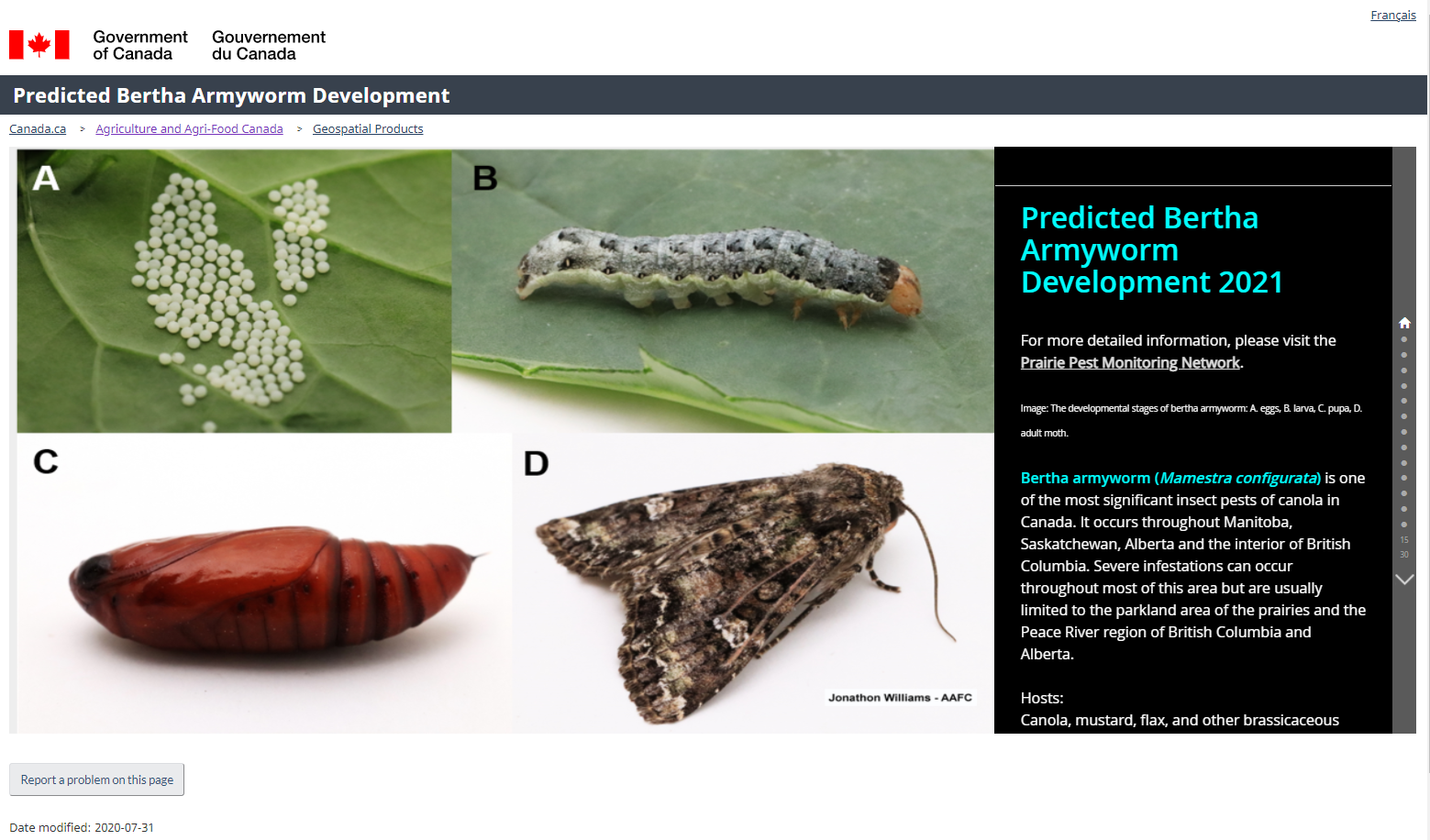 picture of Predicted Diamondback Moth Development