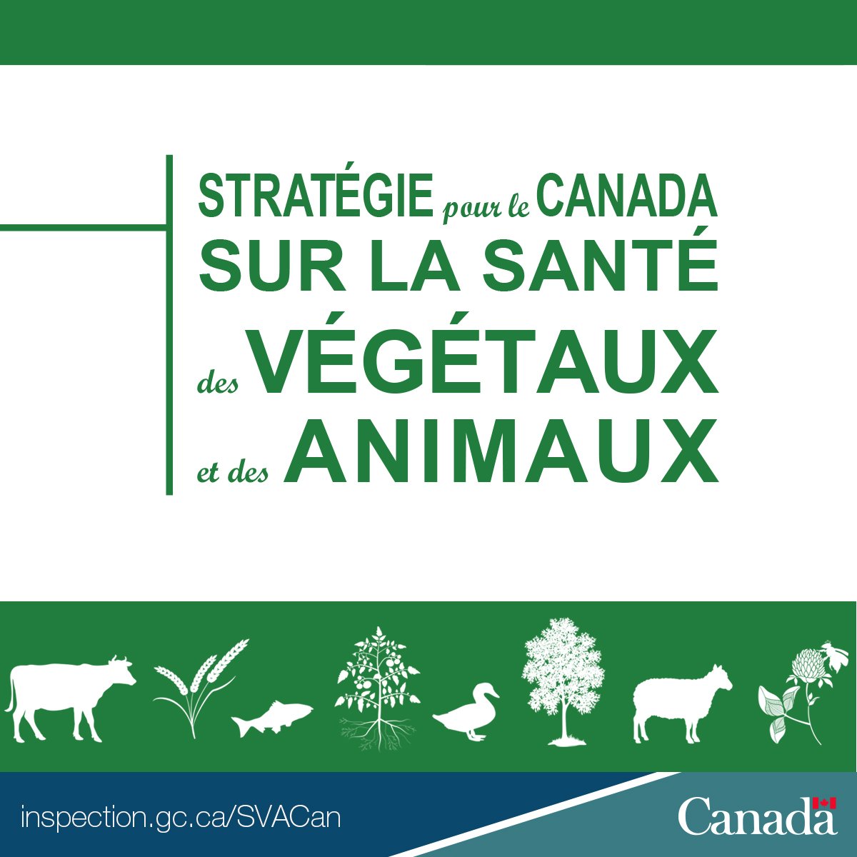 Stratégie pour le Canada sur la santé des végétaux et des animaux